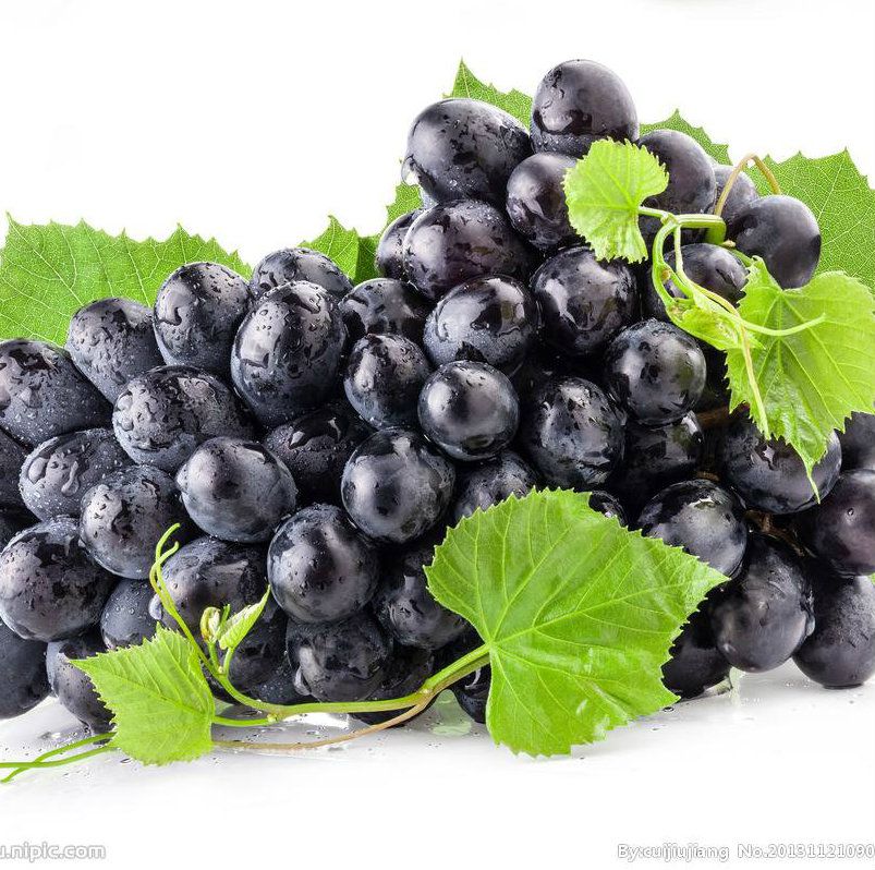 Grape Seeds Chinese Cheap Fruit Grape Seeds Very Sweet Easy Grow Fruit