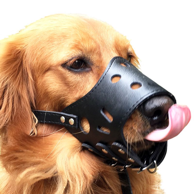 2019 Adjule Leather Dog Muzzle Anti Bark Bite Chew Training 2019 Adjule Leather Dog Muzzle Anti Bark Bite Chew Training S For Small Um Large Dogs Outdoor Pet Xs L From Chopin1220