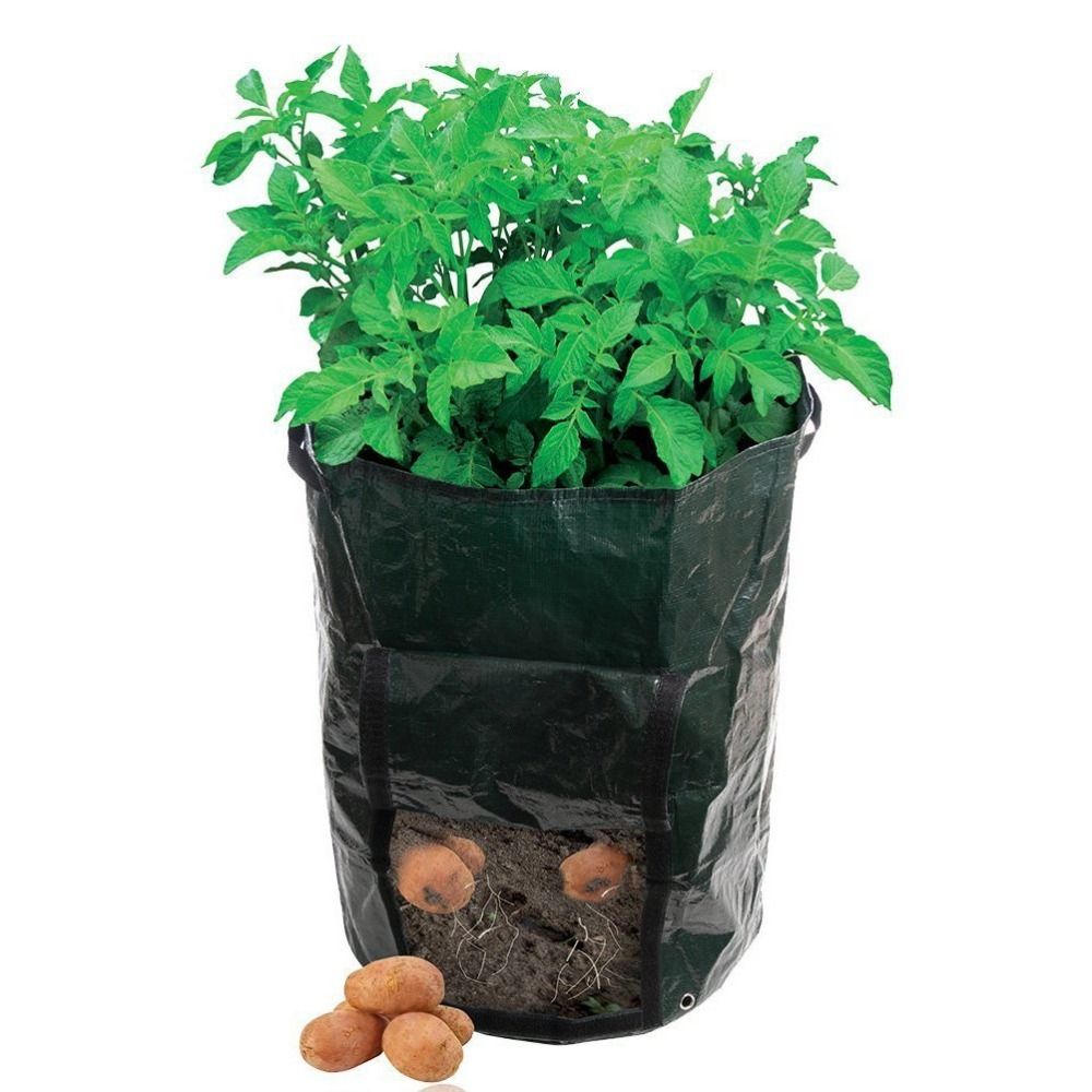 2019 Potato Patio Planter Planting Bags Pe Grow Garden Pots 2019 Potato Patio Planter Planting Bags Pe Grow Garden Pots Planters Creative S From Mp917 41 2 Dhgate Com