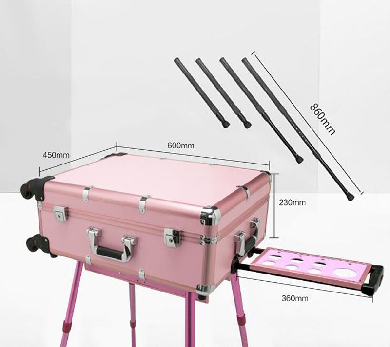 Makeup Artist Train Box With LED Lights Station Trolley Studio Wheeled