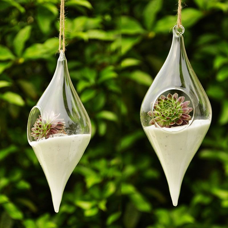 Hanging Glass Vase Hanging Terrarium Hydroponic Plant Flower Clear
