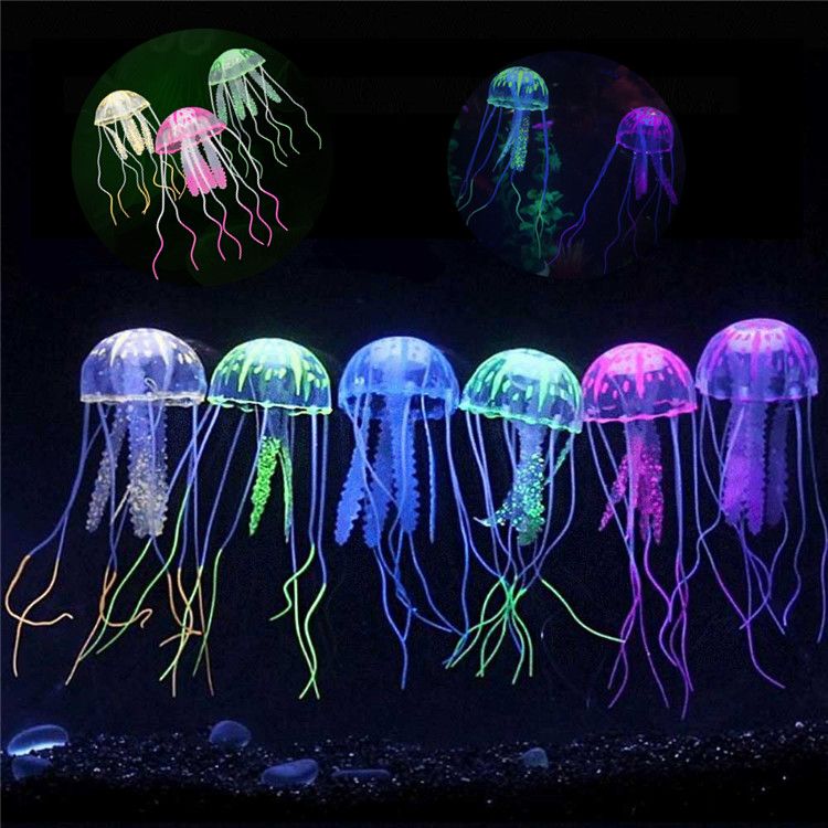 2018 Wholesale New 5cm Aquarium Products Fish Tank  