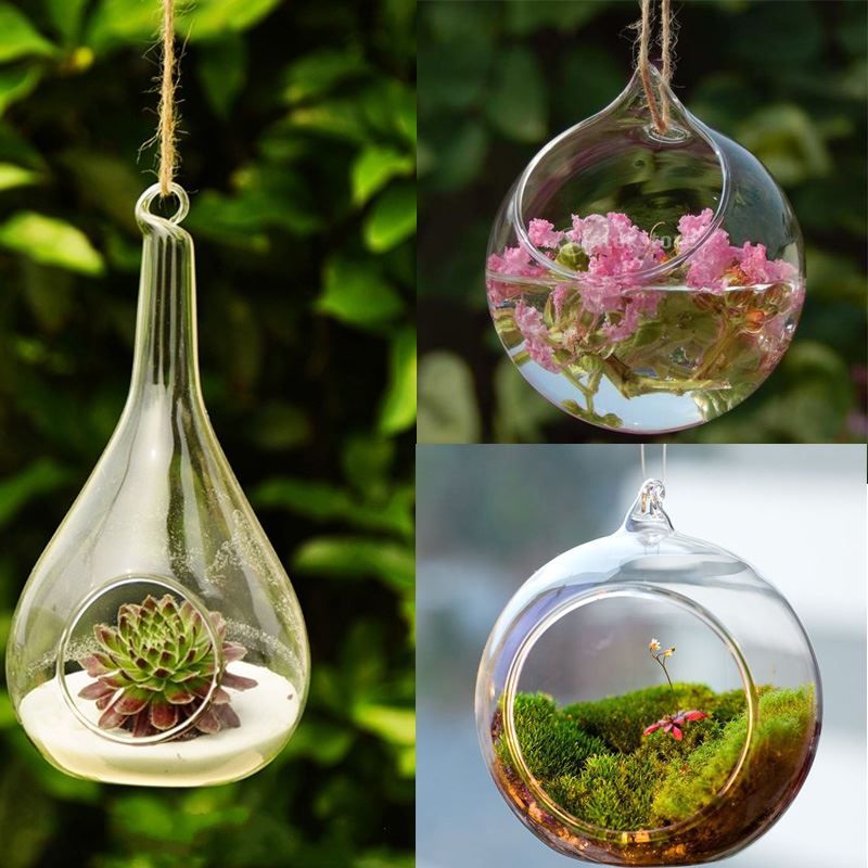 Ball Globe Shape Clear Hanging Glass Vase Flower Plants Terrarium Vase