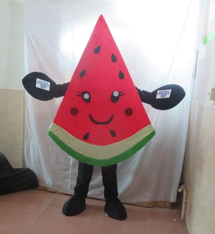 Watermelon Dress Costume