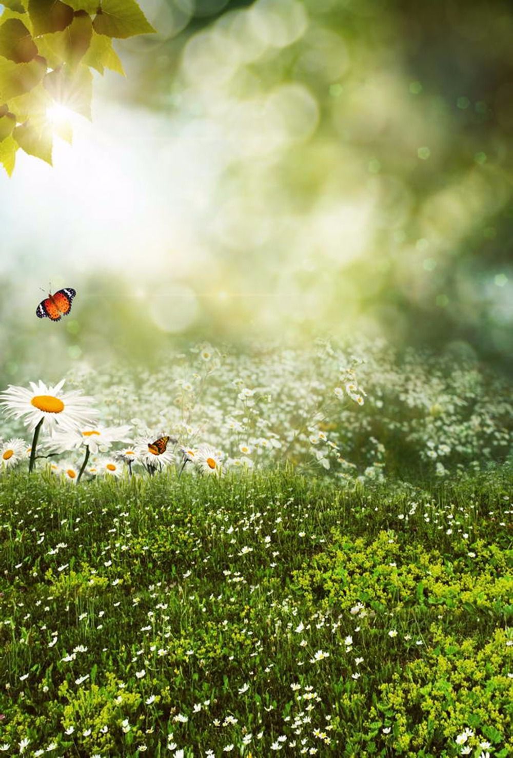 spring backdrops for photography spring backdrops for photography