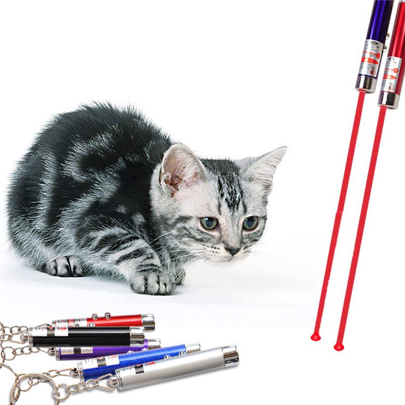 laser pen toy