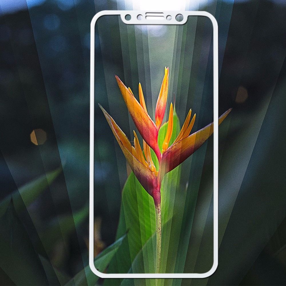 Full Side For New Apple Iphone X 58 Screen Protector Tempered Glass