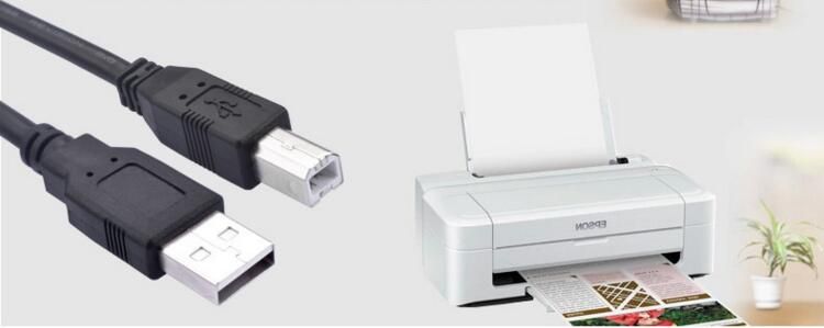 Compra / Línea De Impresión Línea De Impresoras USB A / B Negro 1,5 Metros  Número De Impresora Boca Cuadrada Línea Universales Barato | Entrega Rápida  Y Calidad | Es.Dhgate