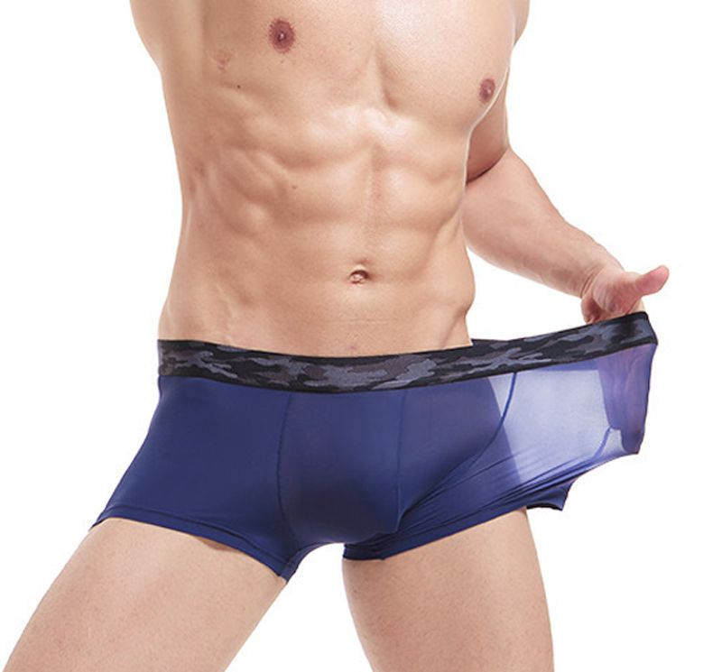 2019 Young Slim Breathable Man Panties Ice Silk Underwear Translucent 