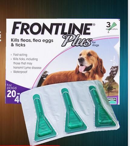 frontline anti flea