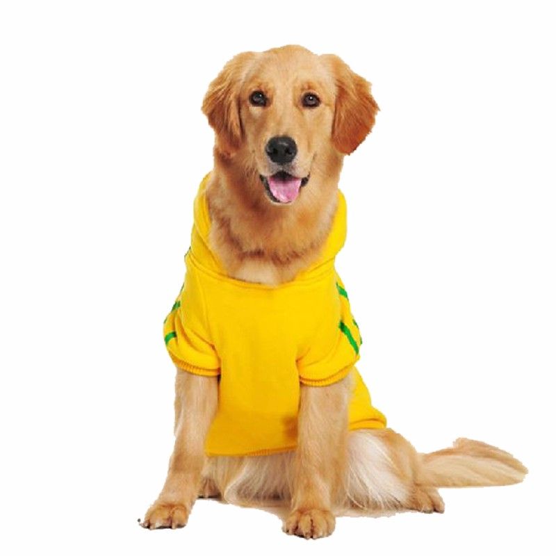 dog clothes for golden retrievers