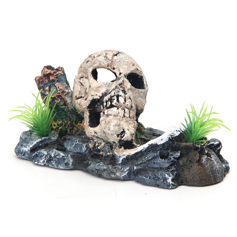 pirate skull skeleton aquarium