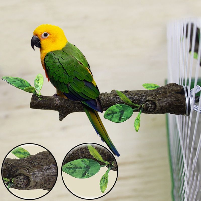 2 Piattaforme Per Uccelli In Legno Vibury - Accessori Per Gabbie Di Pappagalli E Piccoli Animali