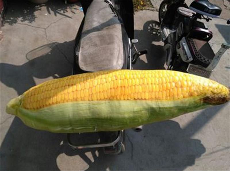 corn stuffed toy