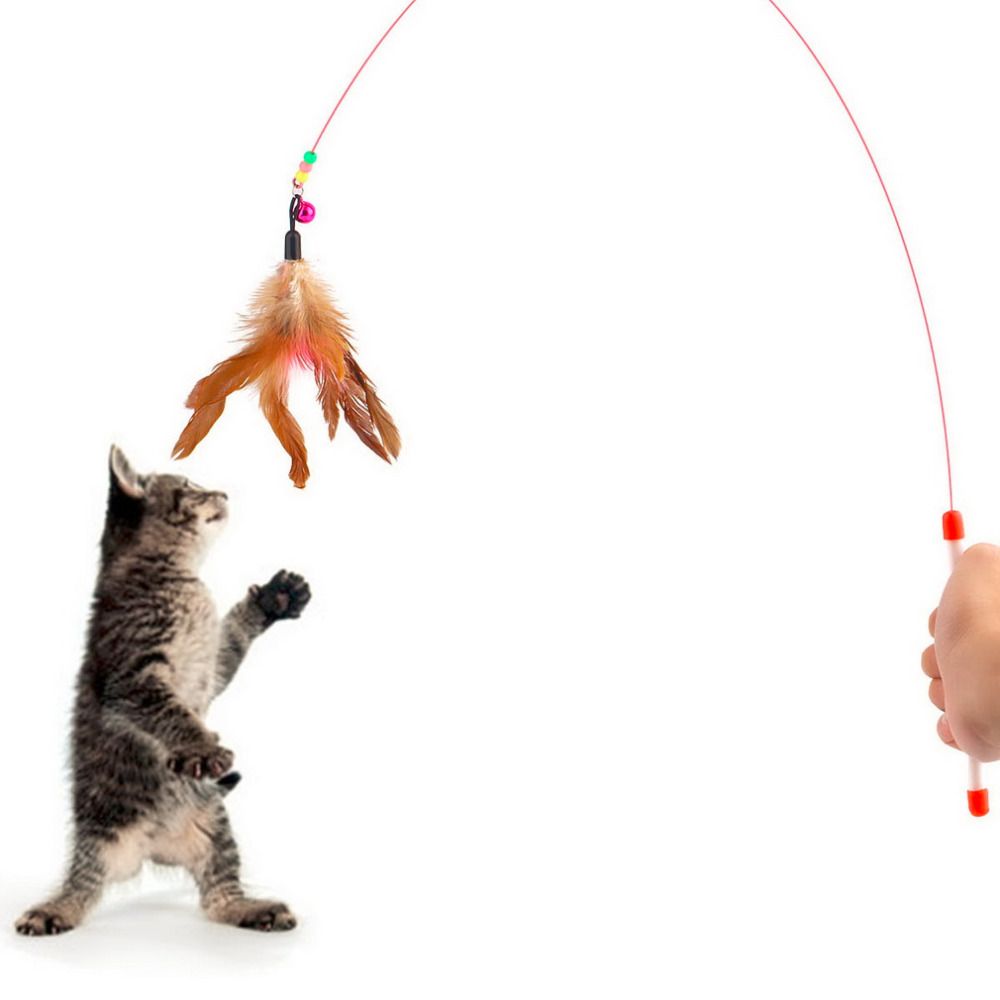 Pet Cat Toy Cute Design Steel Wire Feather Teaser Wand Plastic Toy For Cats Color Multi Products For Pet New Arrival Cat Spring Toys Cat String Toys From