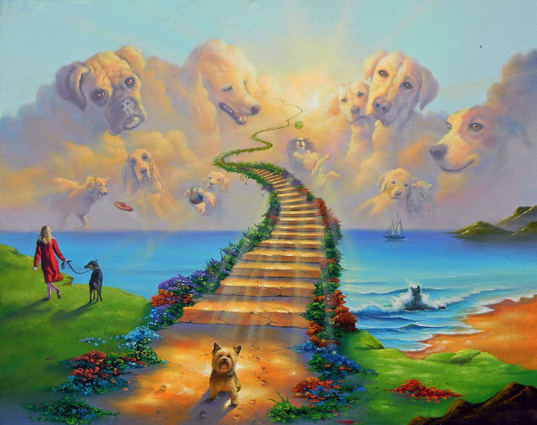 2019 rainbow bridge all dogs go to heaven art print on canvas no