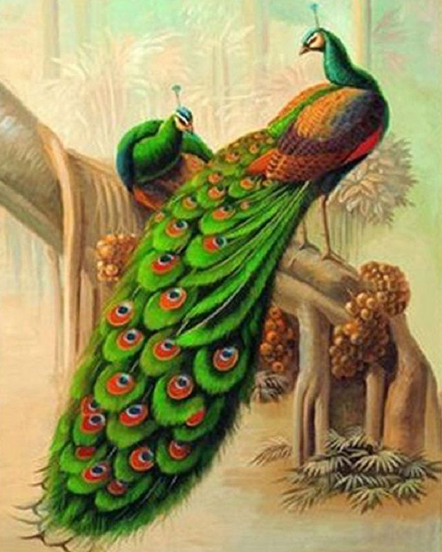 2018 green peacock 100area diy 5d crystal painting cross stitch diamond drawing home decor size 40x50cm from bettyliu123 1708 dhgatecom