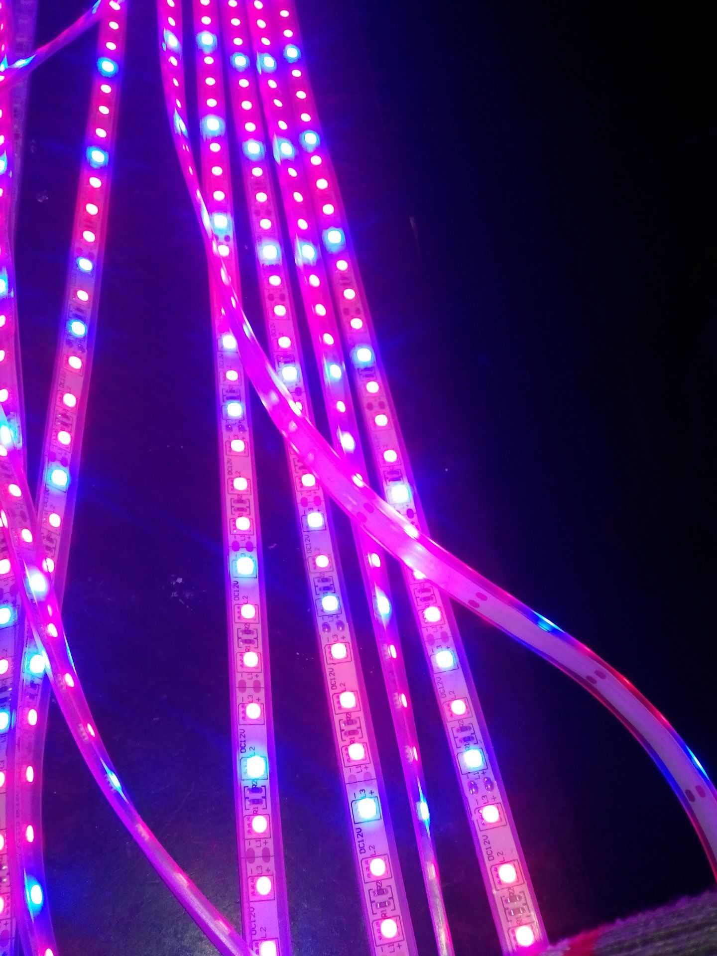 5m 5050 smd hydroponic