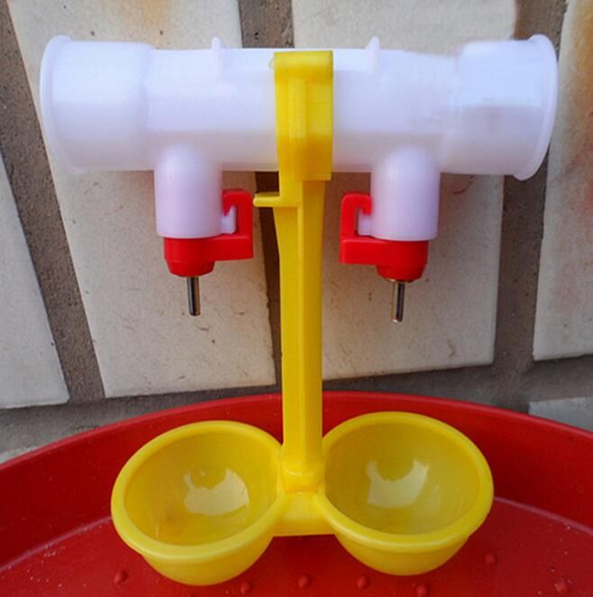 2020 Chicken Waterer Ball Hanging Cup Chicken Drinking Poultry