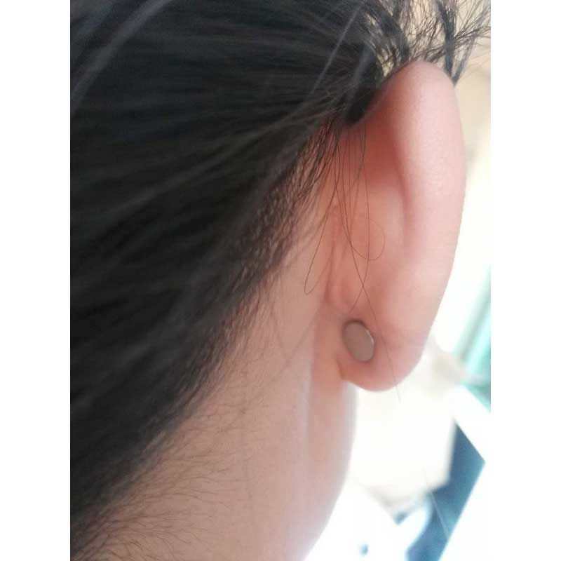 2021 Weight Loss Earring Slimming Earrings From Dlglobal, 3.