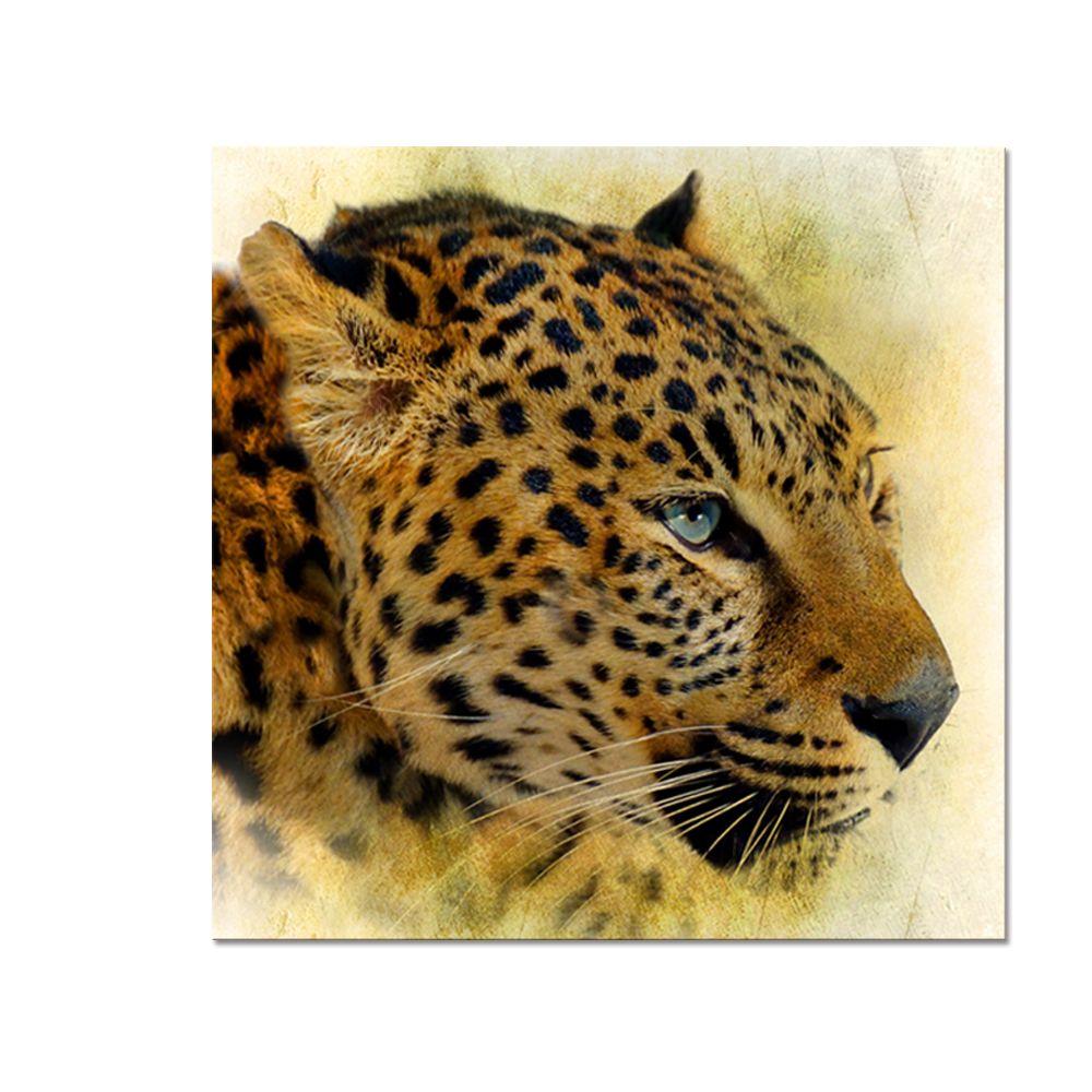 Wild Animal Canvas Printing Leopard HD Canvas Prints for Home Decor