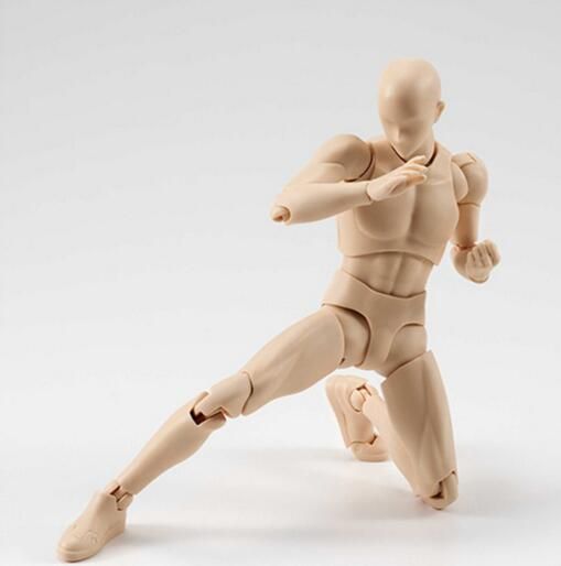 shf bodykun