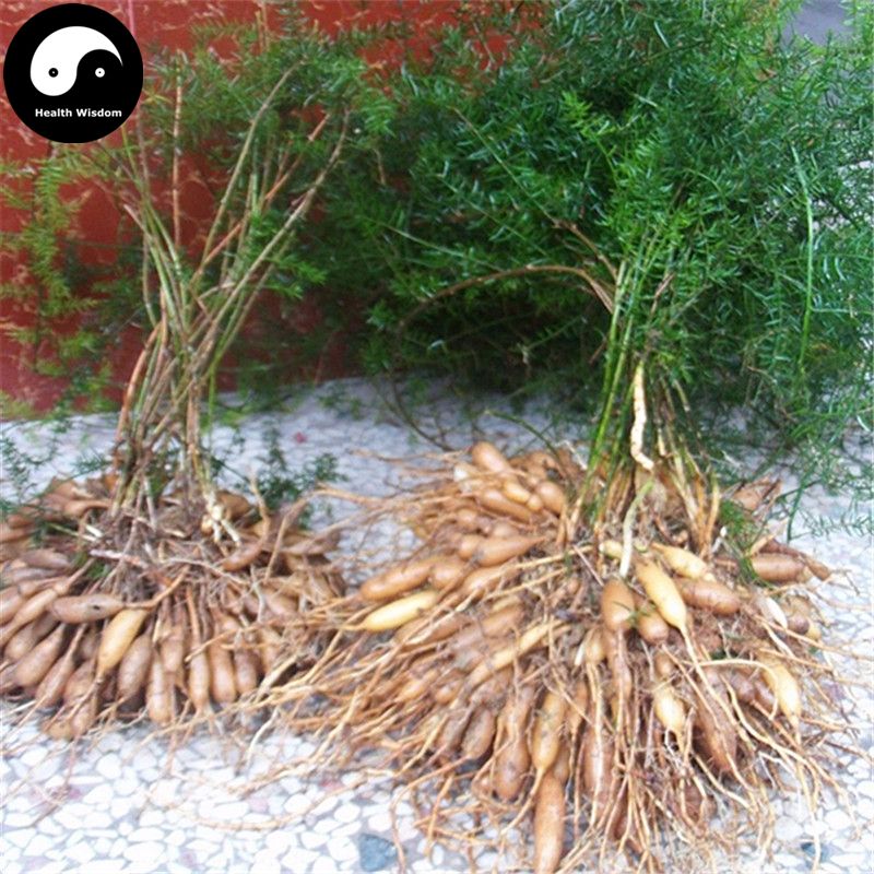 2018 Buy Real Asparagus Cochinchinensis Seeds Plant Chinese Medicinal