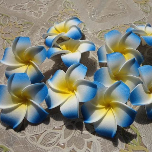 Zed Dialogue Foam Plumeria Flowers Bulk Foam Plumeria Type OA