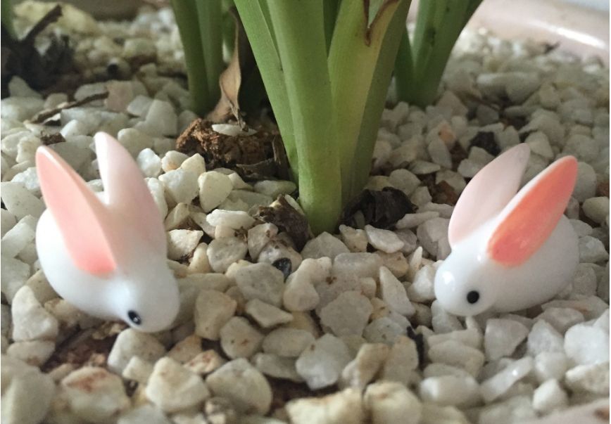 2019 Micro Landscaping Rabbit Animal For Miniature Fairy Garden Micro Landscaping Rabbit Animal For Miniature Fairy Garden Patio Home Houses Decoration And Mini Craft Diy Accessories