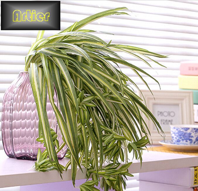 Whole 28 Chlorophytum Wall Hanging Orchid Flower Artificial Plant Willows Green Radish Small Bluegrass Ad0075