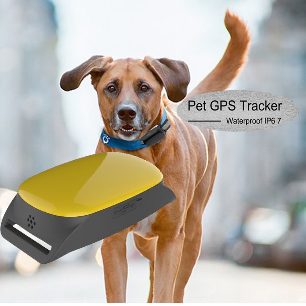 Professional Waterproof Small GPS Tracking Dogs Anywhere TK108 Can Insert Collar for Dog/pet