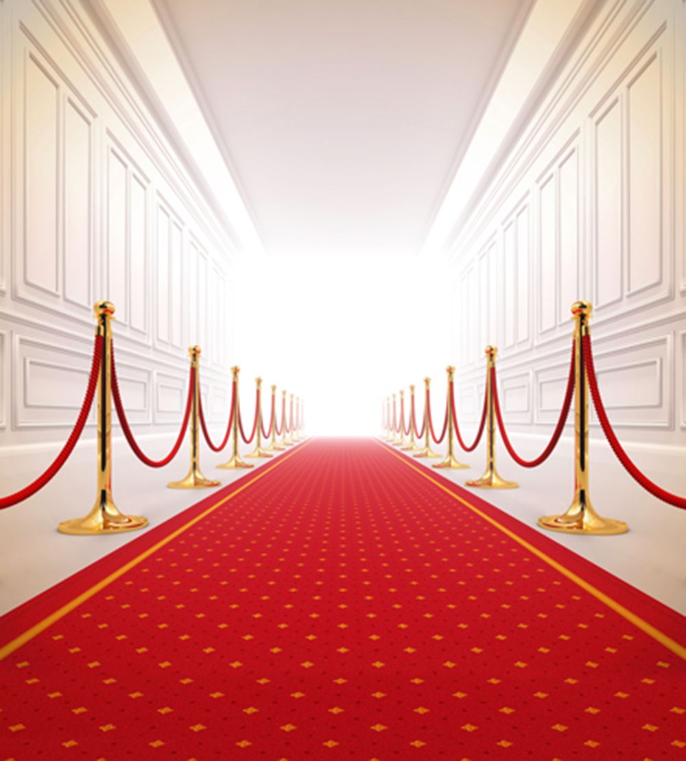 red carpet wedding backdrop photography bright