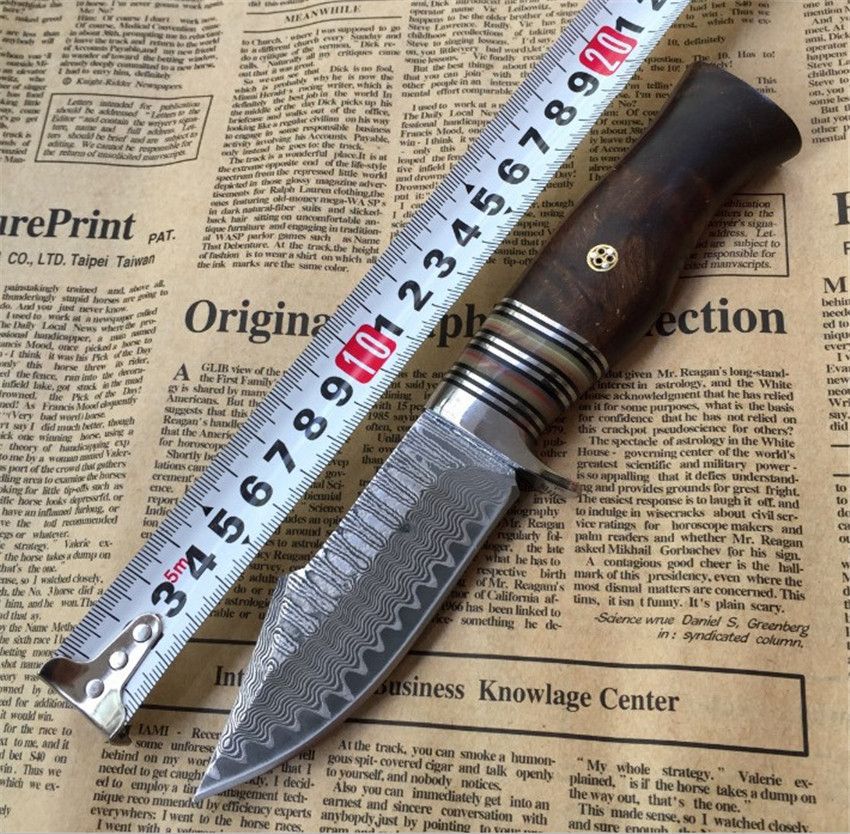 210mm Japanese Damascus Knife Sharp Blade Handmade Damascus Steel