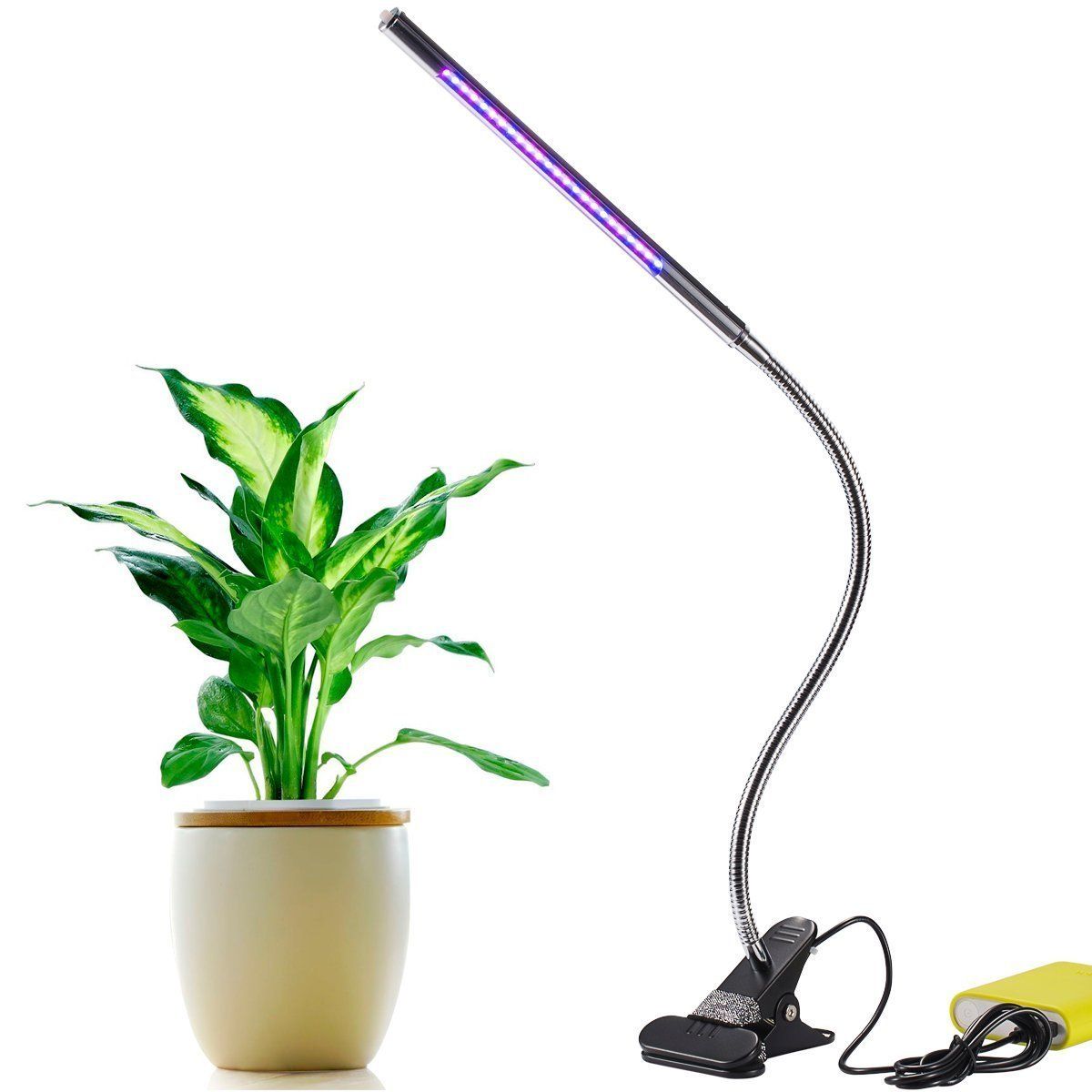 Led Grow Lights 5W Adjustable 3 Level Dimmable Clip Desk Lamp For Led Grow Lights 5W Adjustable 3 Level Dimmable Clip Desk Lamp For