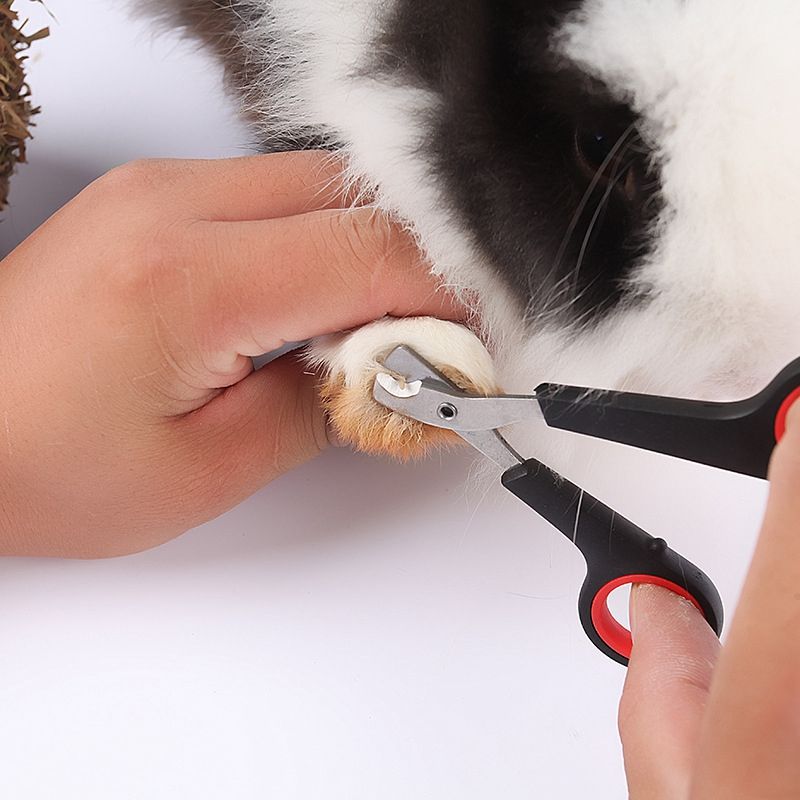 dog cat nail trimmers