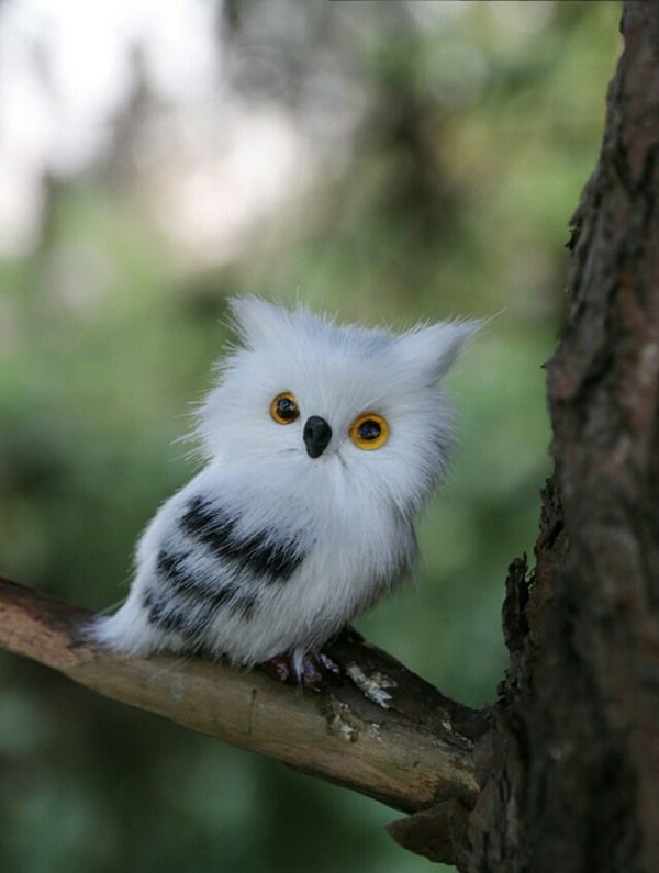 Acheter Mignonne Petite Simulation Hibou Blanc Modele Jouet Polyethylenefur Mini Gauche Chouette Blanche Cadeau De Poupee Environ 5x5x7cm De 6 8 Du Toyhouse16 Fr Dhgate Com Acheter Mignonne Petite Simulation Hibou Blanc Modele Jouet Polyethylenefur Mini Gauche Chouette Blanche Cadeau De Poupee Environ 5x5x7cm De 6 8 Du Toyhouse16 Fr Dhgate Com