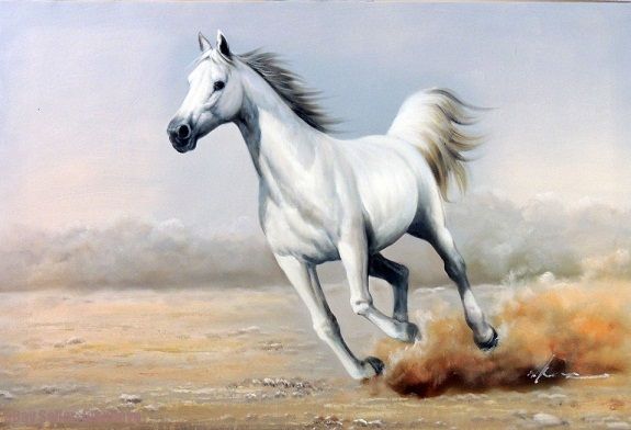 Modern Horse Oil Paintings Modern Horse Oil Paintings