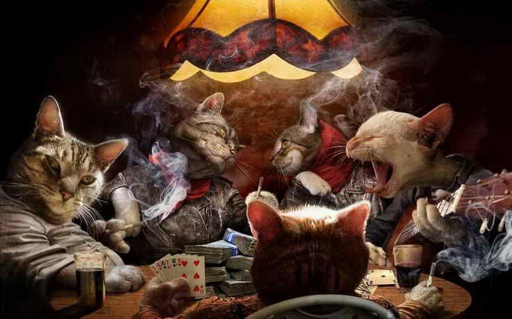 Image result for animals in poker
