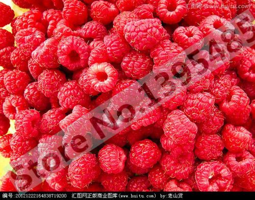 2019 Wholesale4 Kinds Of Color Raspberry Seeds 1000 Blue,Black,Red