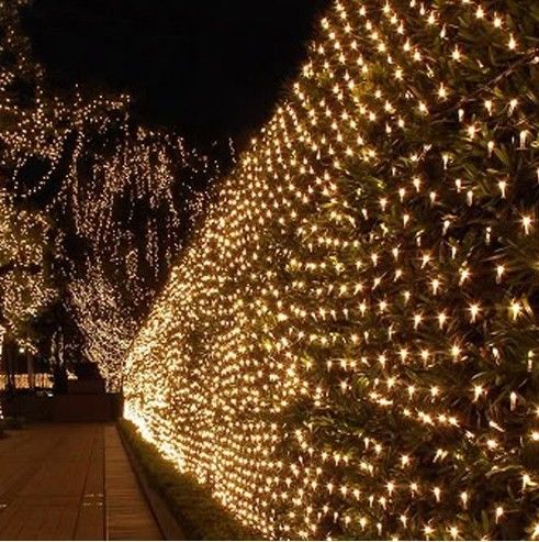 Waterproof 220v 110v 3mx2mled 6m 4m678led Outdoor Indoor Net Led Cool Net Lights Best Icicle
