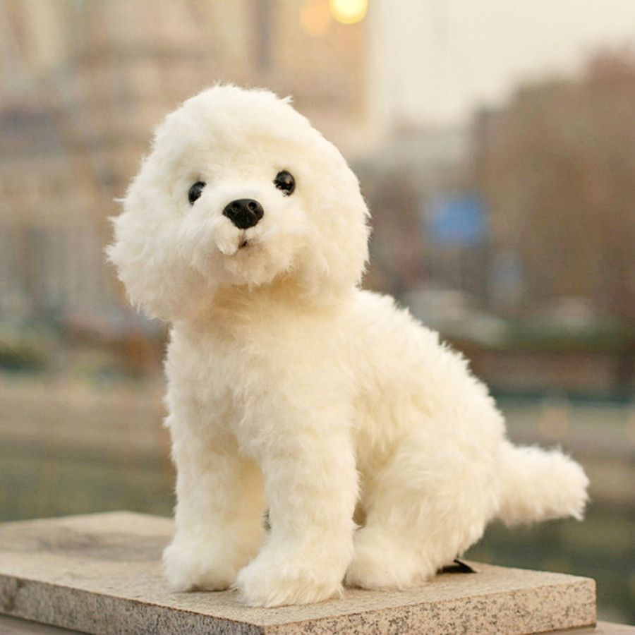bichon stuffed toy