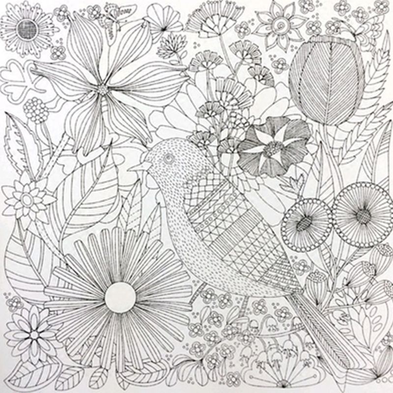 The Enchanted Forest Coloring Book For Adult Kids Mandala Secret Garden Books Antistress Art Quiet Color Drawing 2525cm 48pages Printing