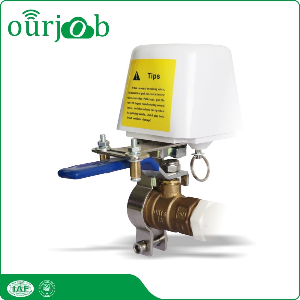 2021 Gas Emergency Automatic Shutoff Valve DN15 Manipulator For Ball