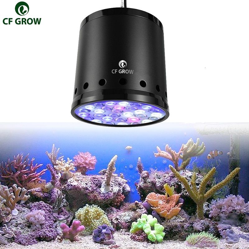 2019 cf grow 100w