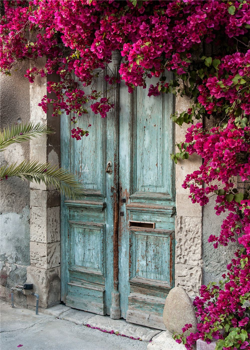 2019 5x7ft150x210cm retro brick wall backdrops red flowers blue door