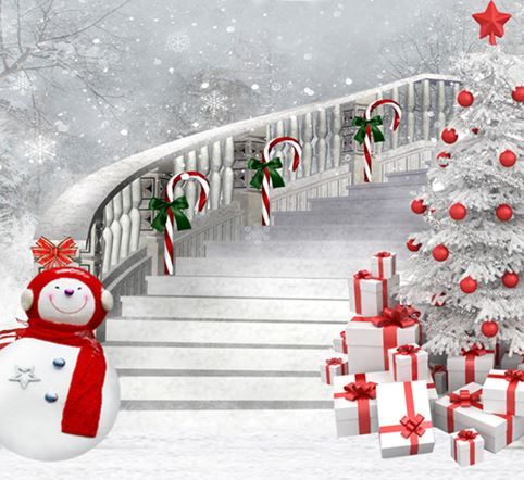 2019 thin vinyl photography christmas backgrounds computer printed images of christmas backgrounds
