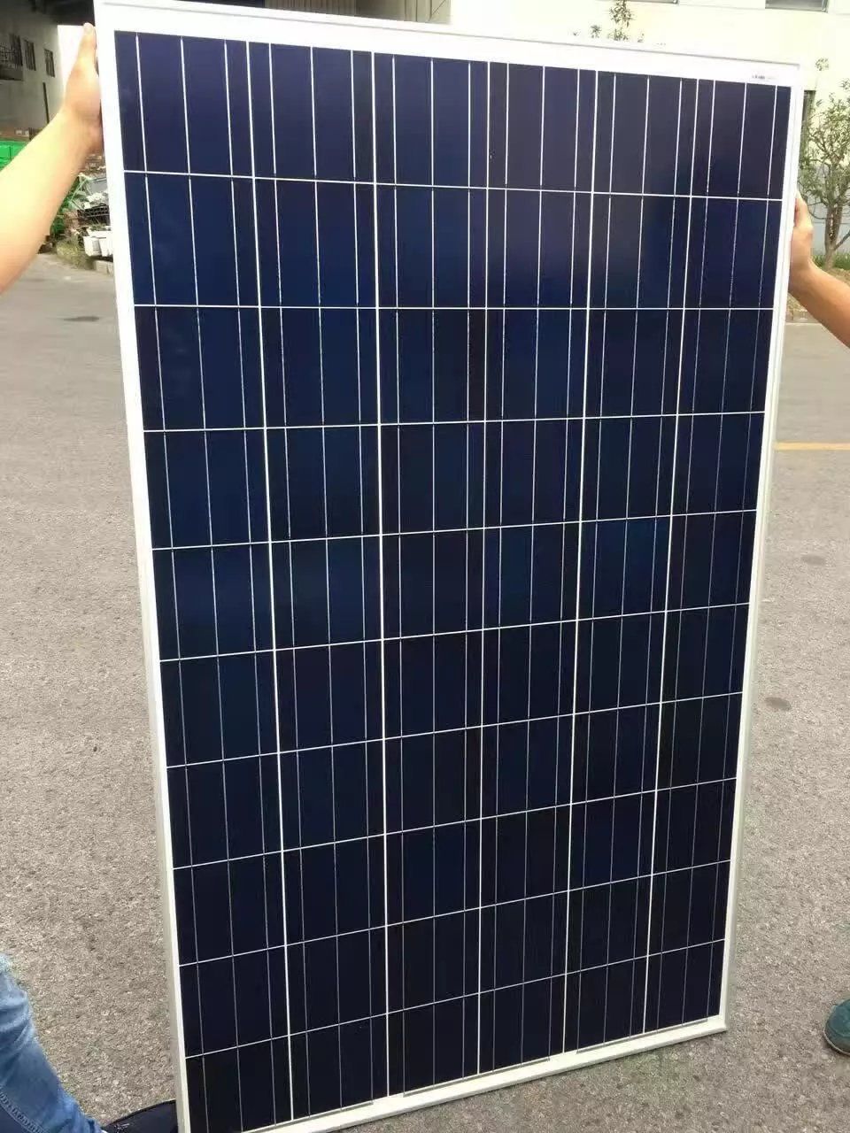 2018 250W Solar Panel250W Poly Solar PanelSolar Power For Home Used