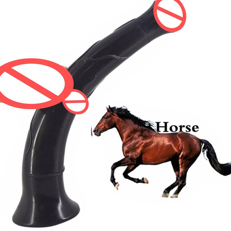Horse Penis Length