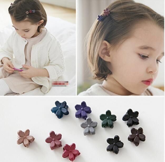small claw hair clips