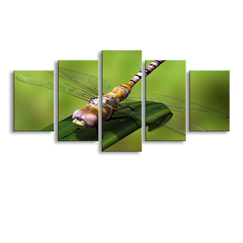 2018 5 Panel Dragonfly Painting Canvas Wall Art Picture Home Decoration Living Room Print Modern Large Cheap Sd 001 From Chc1103 2018 5 Panel Dragonfly Painting Canvas Wall Art Picture Home Decoration Living Room Print Modern Large Cheap Sd 001 From Chc1103